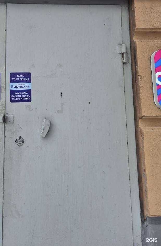 Отзывы на компанию Карнелия в г. Саратов c фото