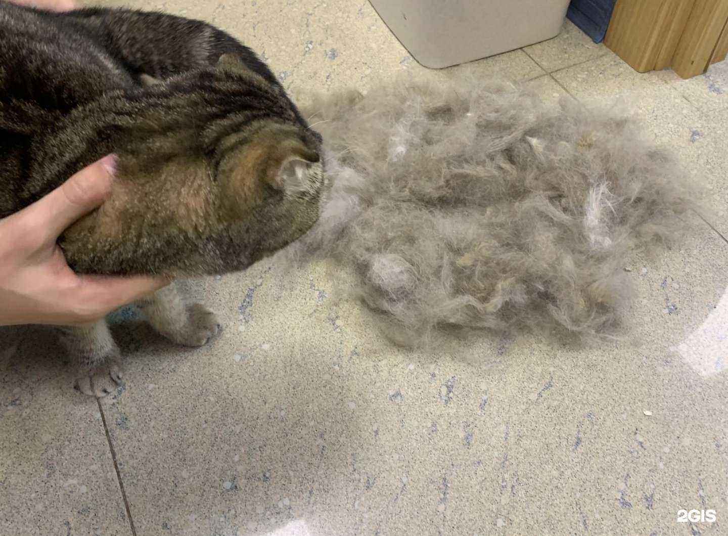 Отзывы на компанию GROOM в г. Екатеринбург c фото