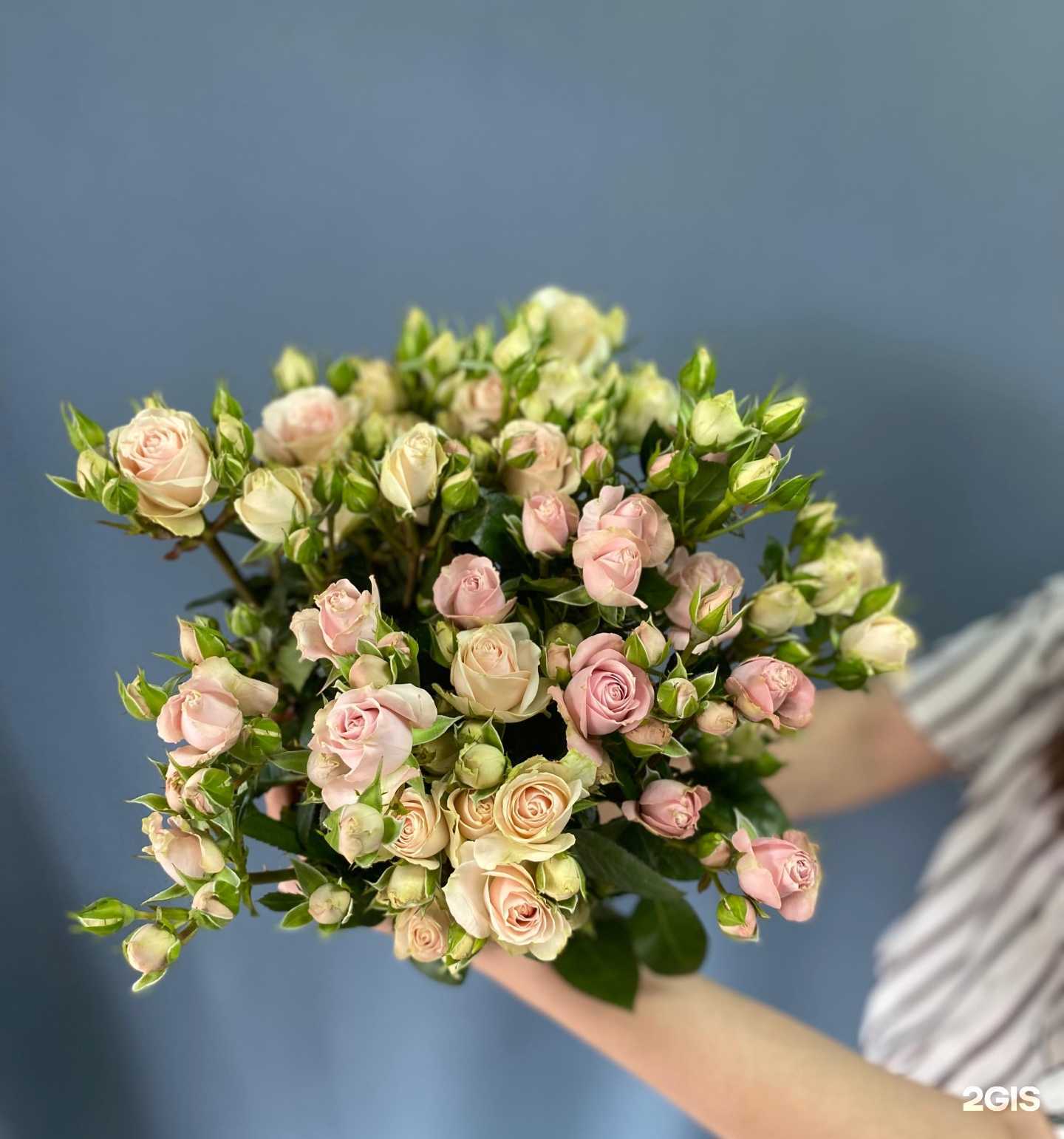 Отзывы на компанию Bloomville в Краснодаре c фото