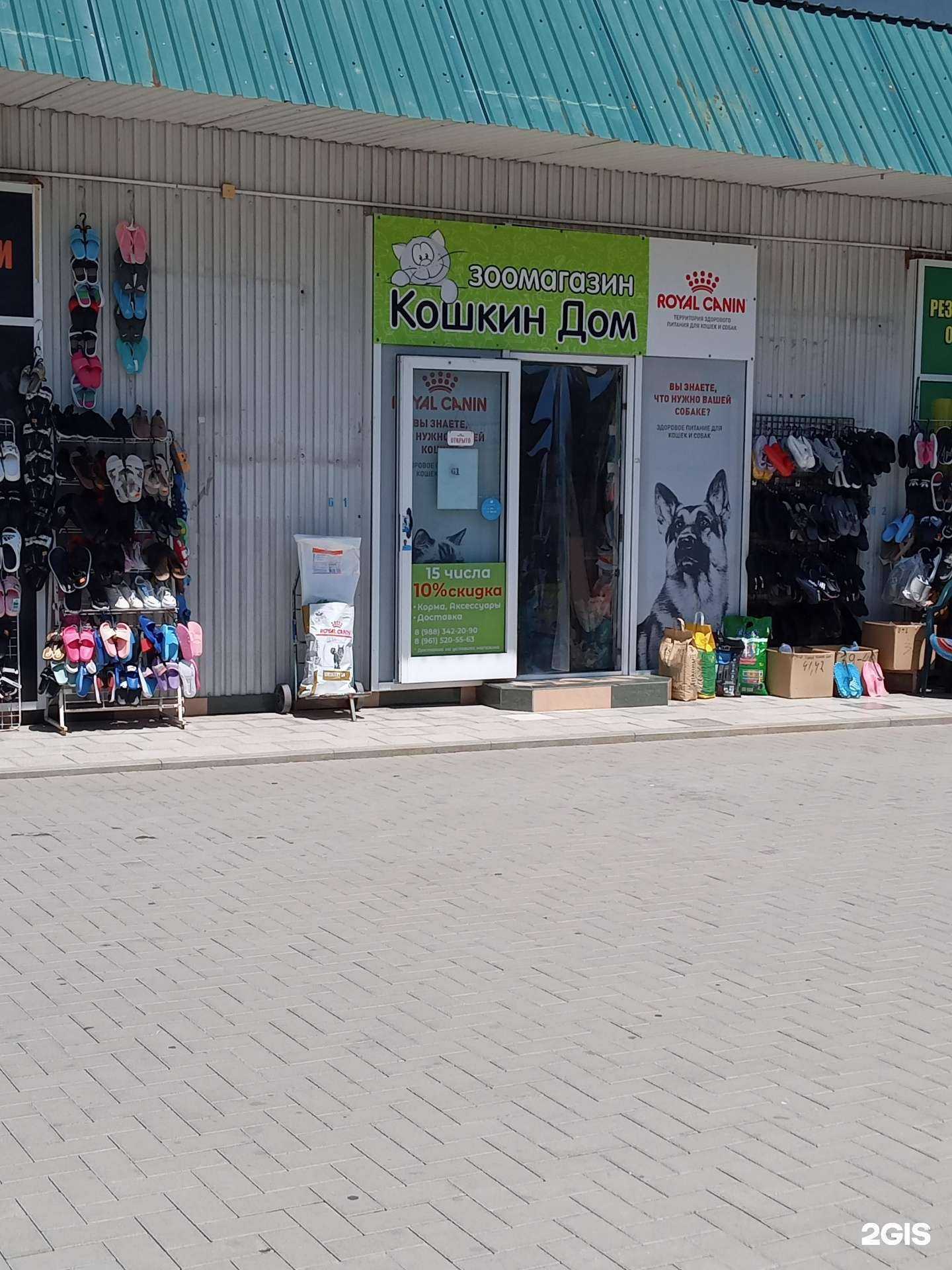 Отзывы на компанию Кошкин дом в Новороссийске c фото