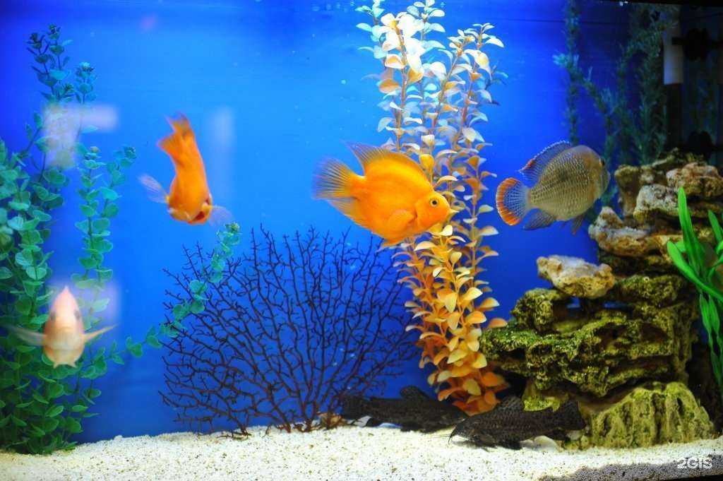 Отзывы на компанию Аквабар в Сургуте c фото