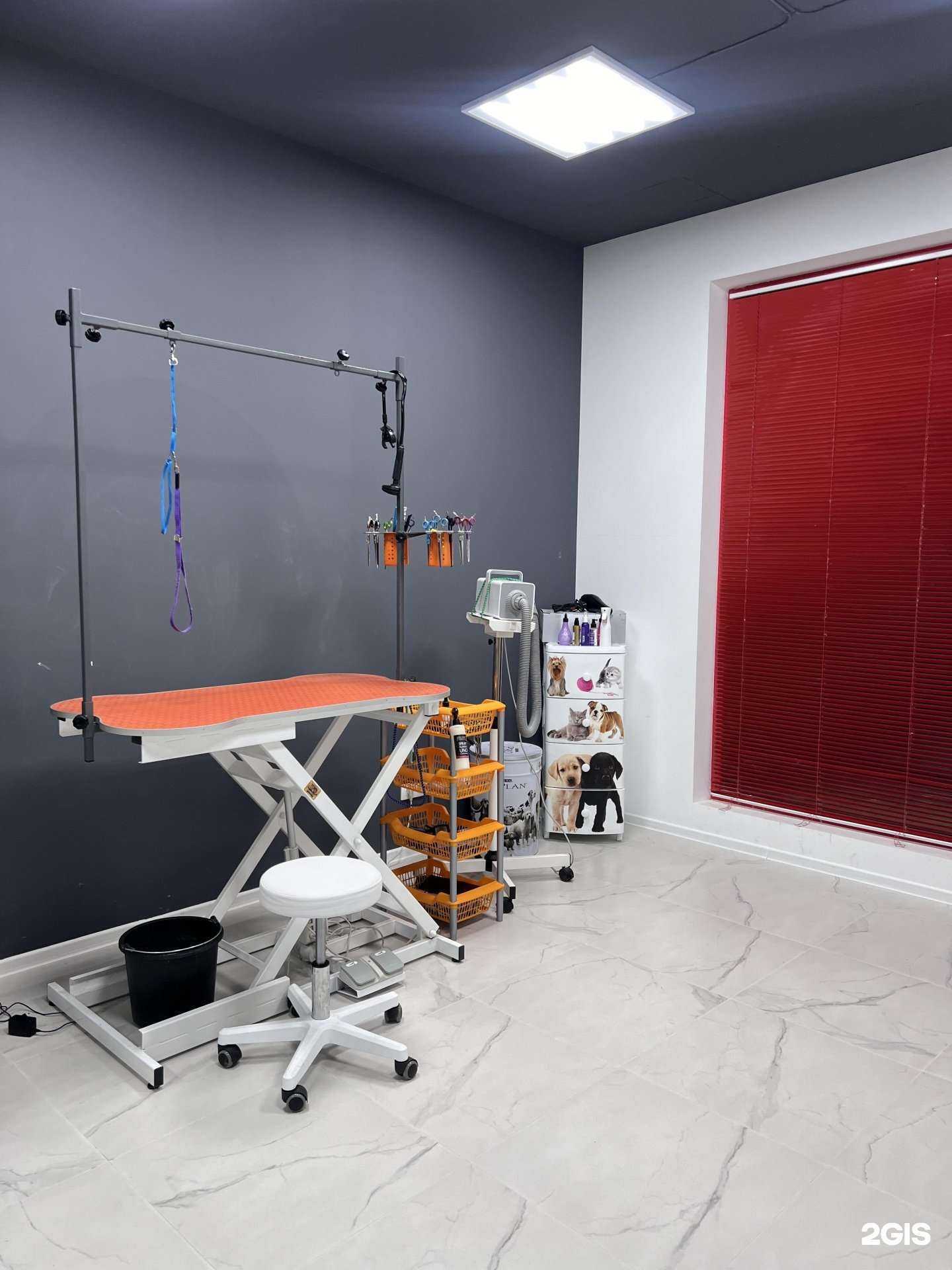 Отзывы на компанию ЭстетГрум в г. Краснодар c фото