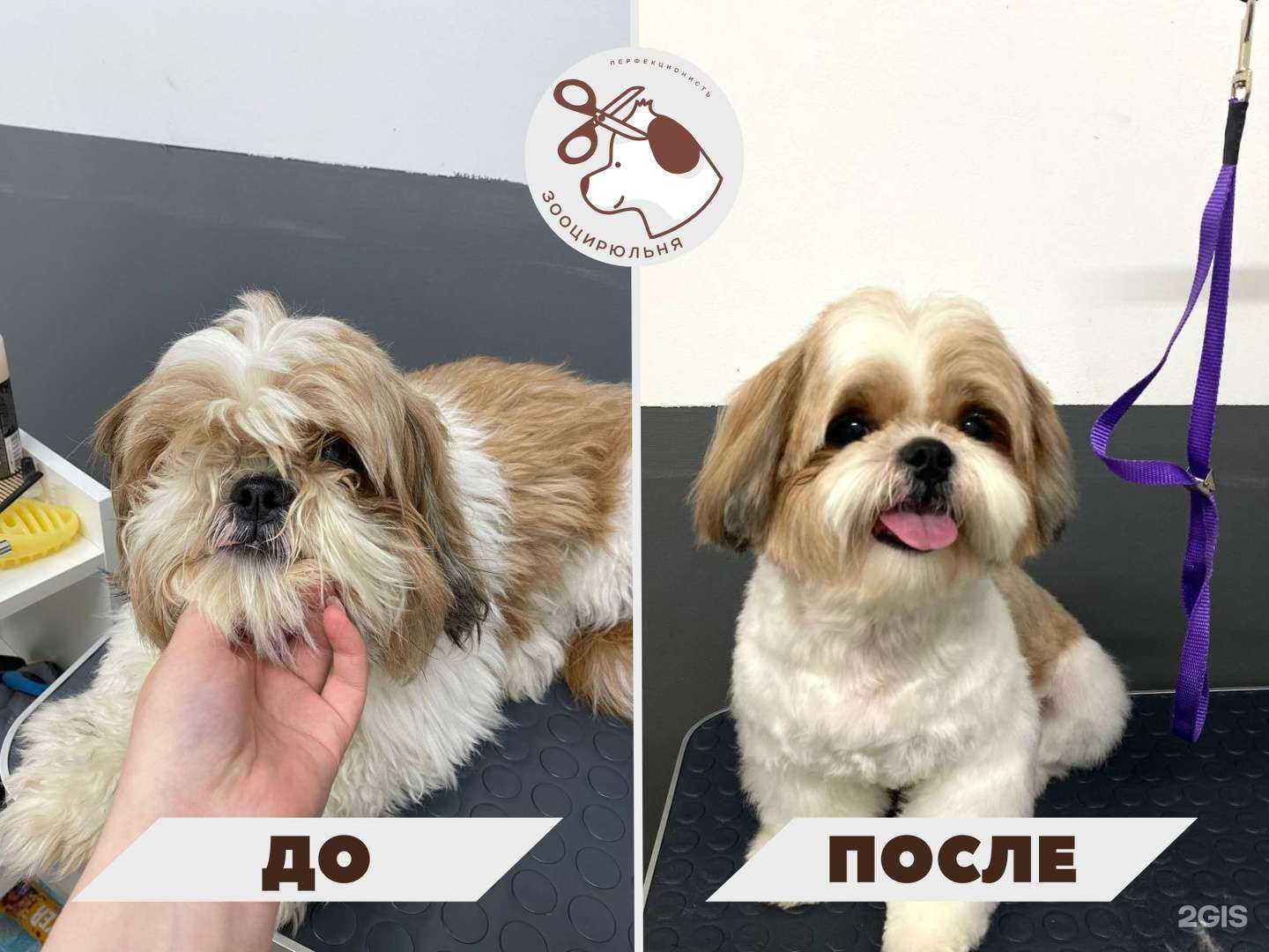 Отзывы на компанию ПерфекционистЪ в Екатеринбурге c фото