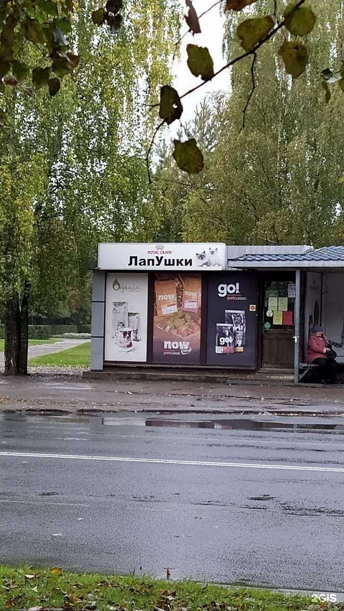 Отзывы на компанию ЛапУшки в г. Псков c фото