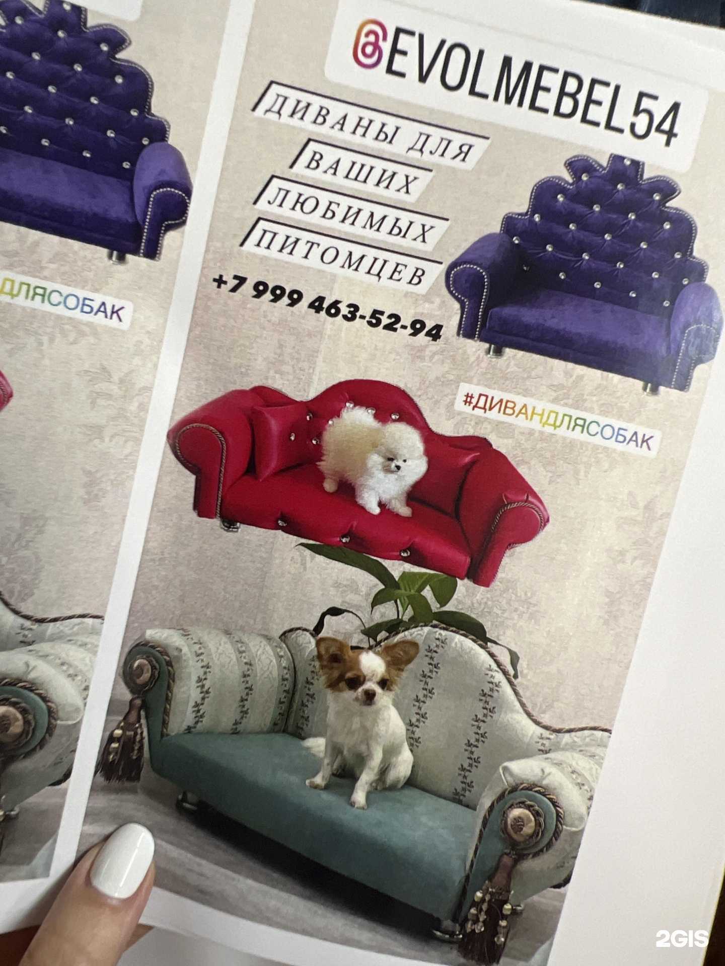 Отзывы на компанию Элемент принт в г. Новосибирск c фото