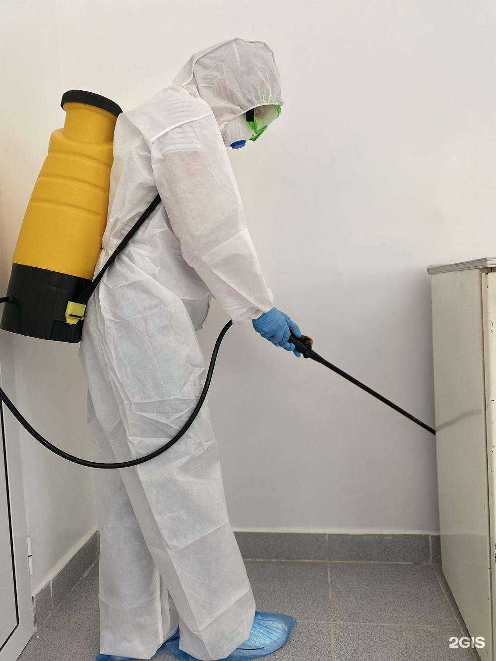 Отзывы на компанию Профессиональная дезинфекция предприятий в Чебоксарах c фото