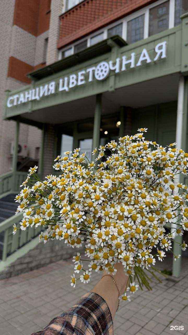 Отзывы на компанию Станция Цветочная в Барнауле c фото