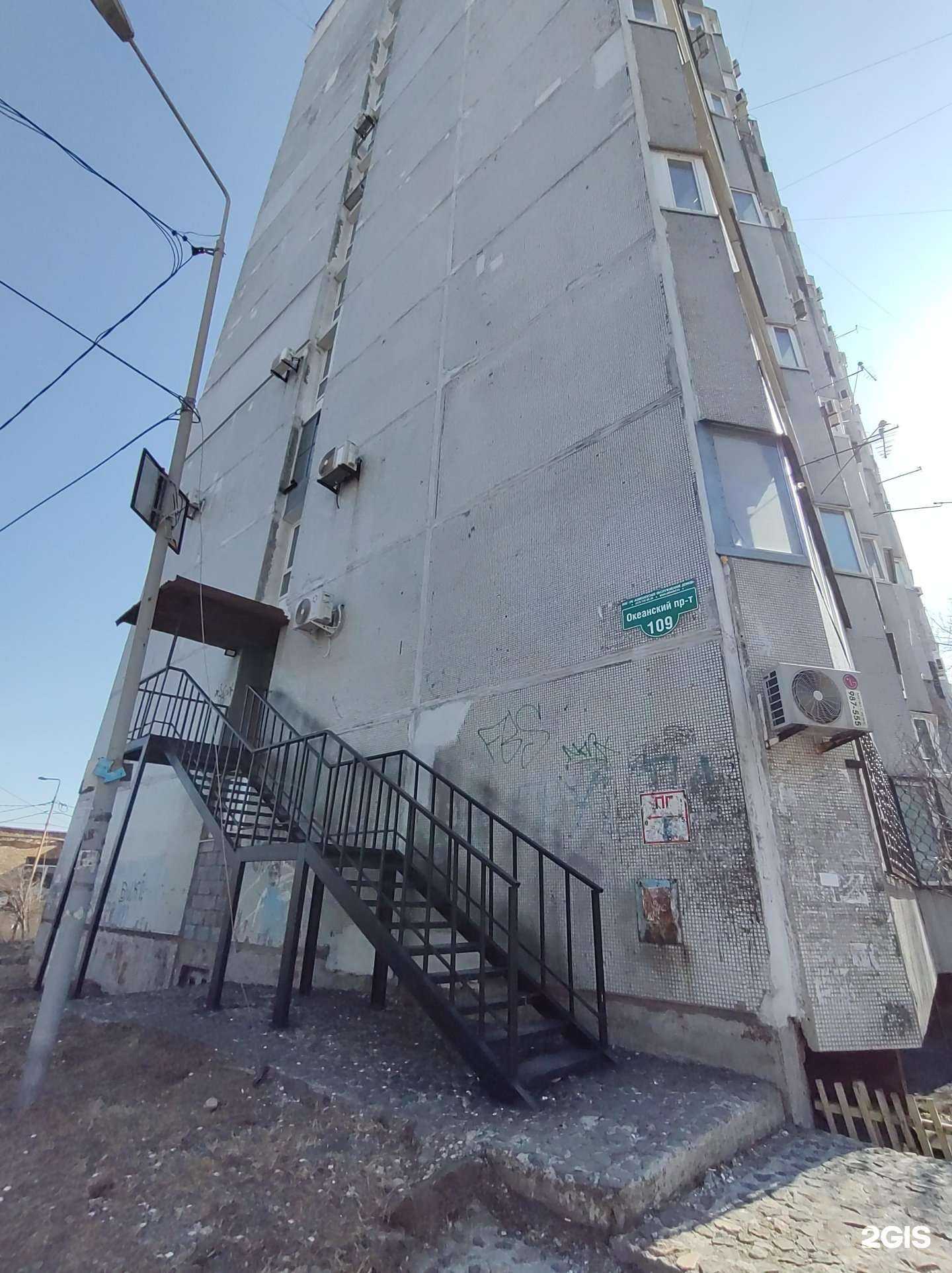 Отзывы на компанию Кошкин дом в Владивостоке c фото - фотография 2 из 2