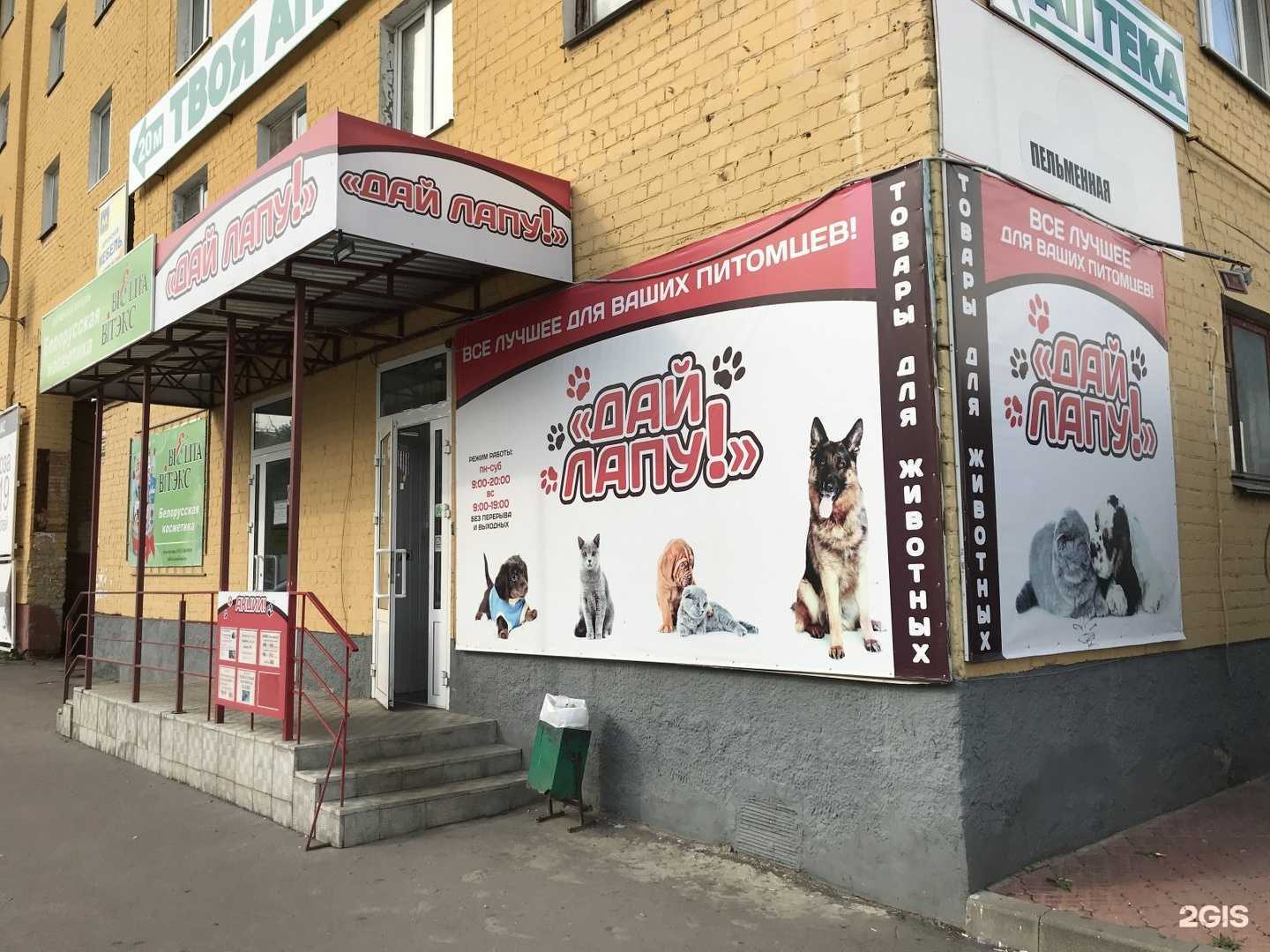 Отзывы на компанию Дай лапу! в Орле c фото