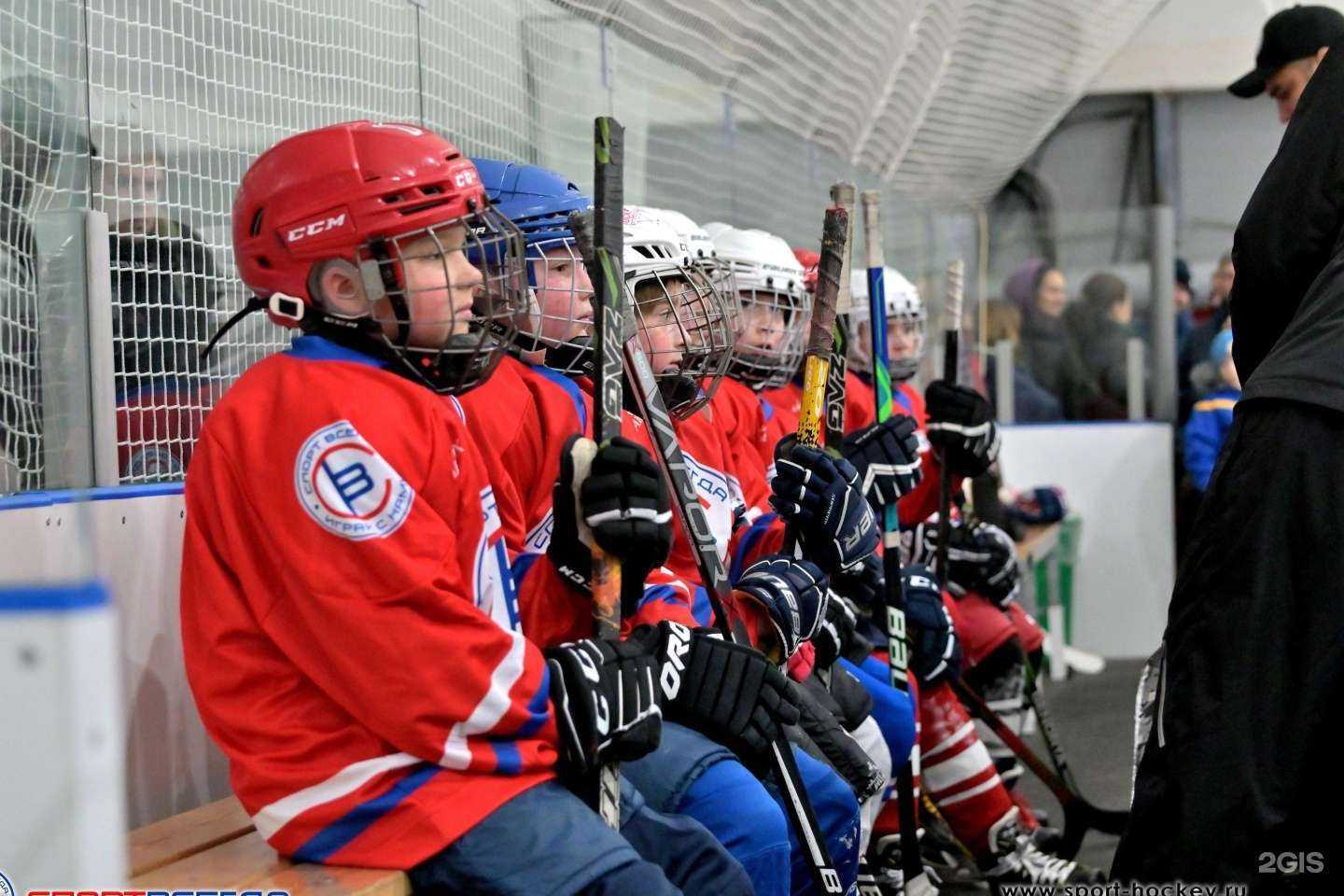 Отзывы на компанию Спорт всегда в г. Отрадное c фото