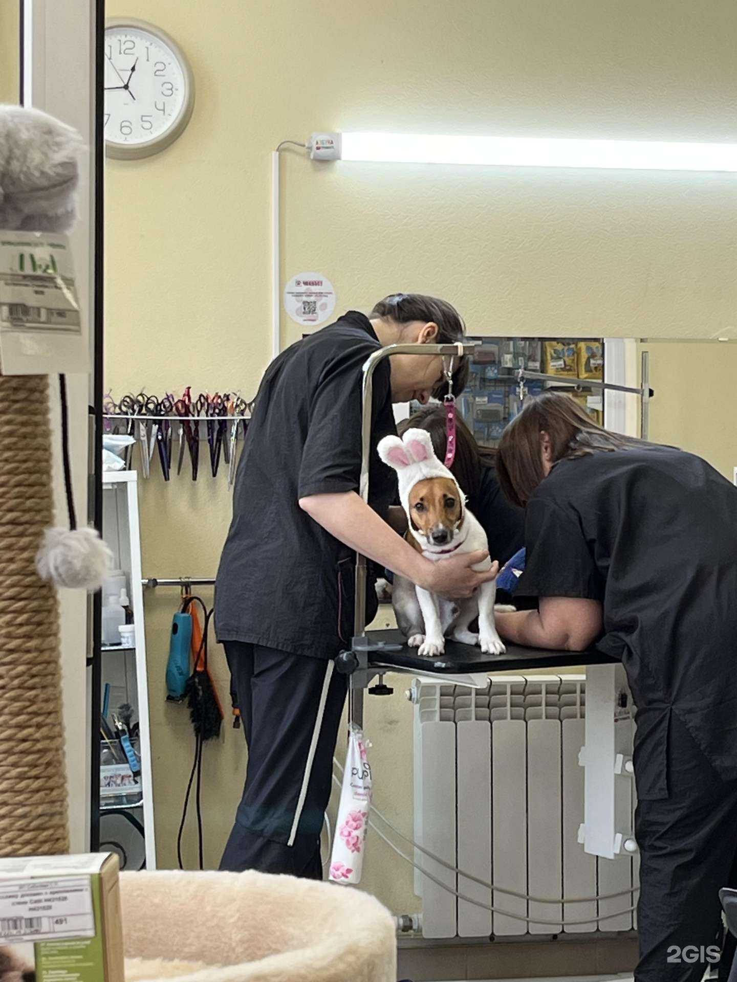 Отзывы на компанию Чехвост в Самаре c фото