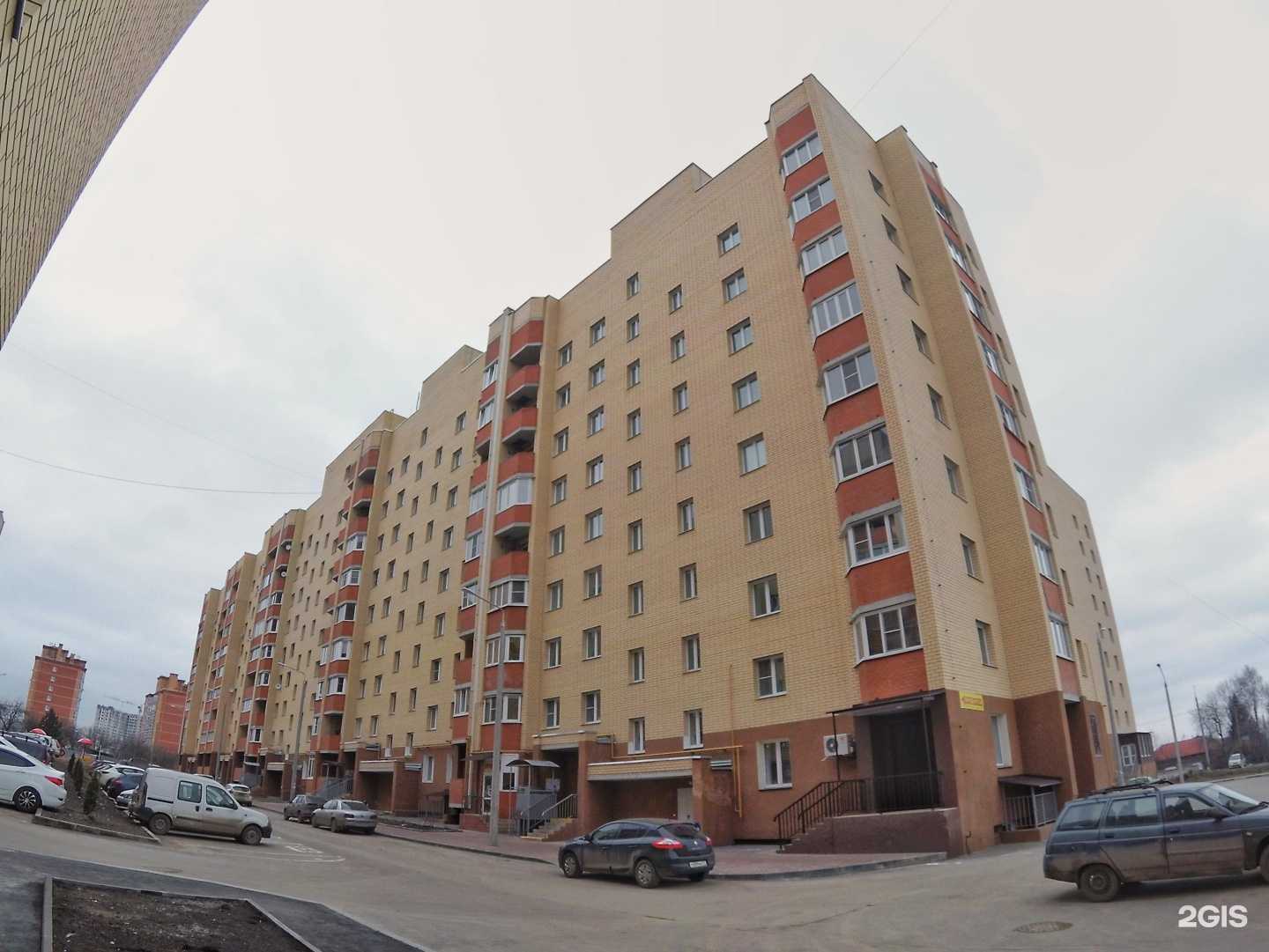 Отзывы на компанию Little dog в Туле c фото - фотография 2 из 2