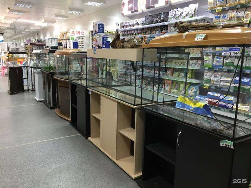 Отзывы на компанию Весна в г. Мончегорск c фото