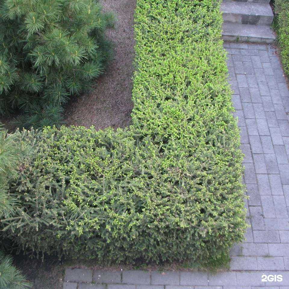 Отзывы на компанию Ясень в г. Магнитогорск c фото