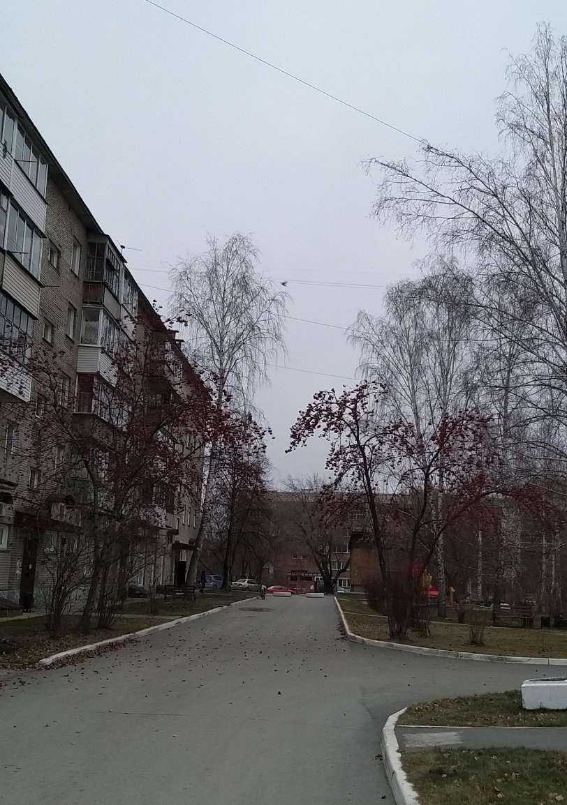 Отзывы на компанию Стрижи в Новосибирске c фото - фотография 2 из 2