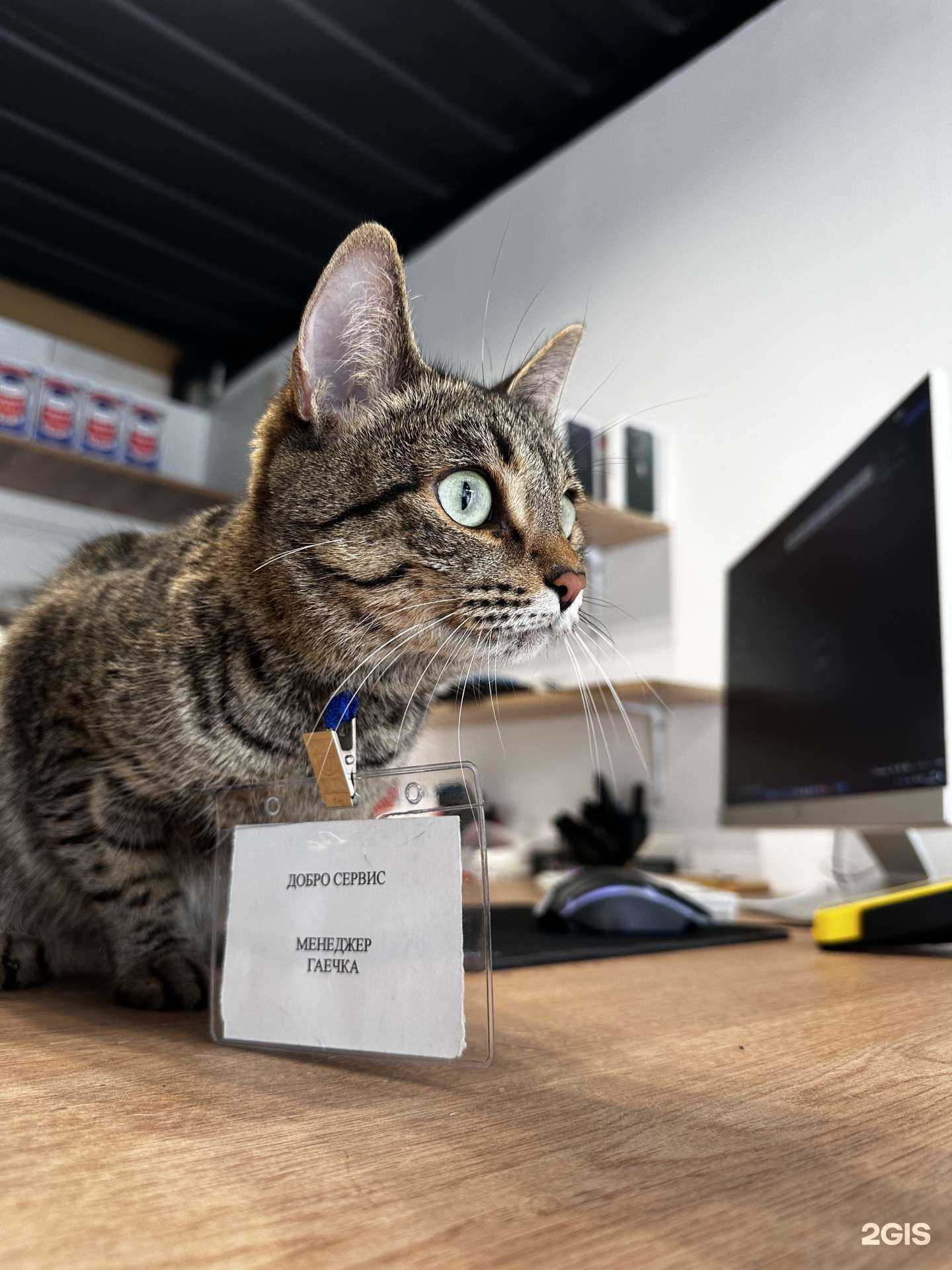 Отзывы на компанию Добро Сервис в Екатеринбурге c фото