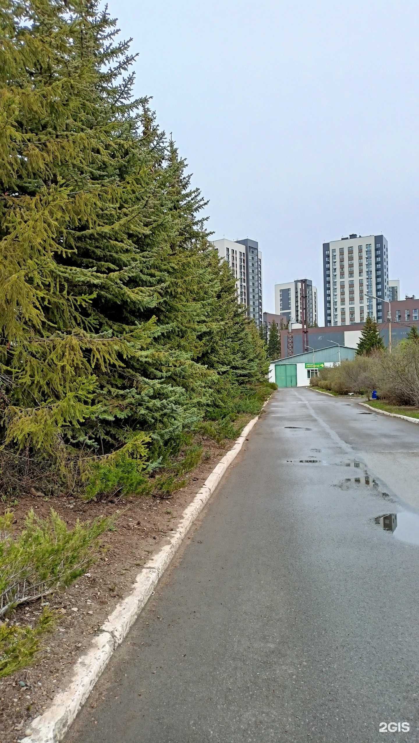 Отзывы на компанию Уфимский лимонарий в Уфе c фото - фотография 2 из 2