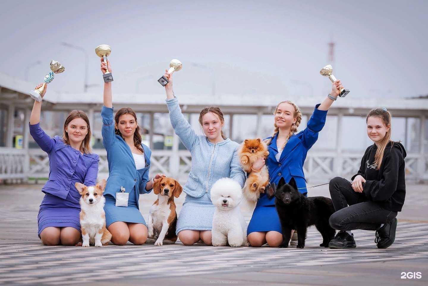 Отзывы на компанию Paradogs в г. Самара c фото