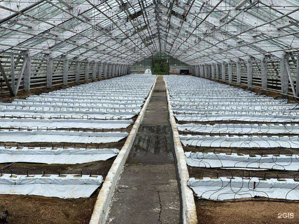 Отзывы на компанию Магазин цветов в г. Иркутск c фото