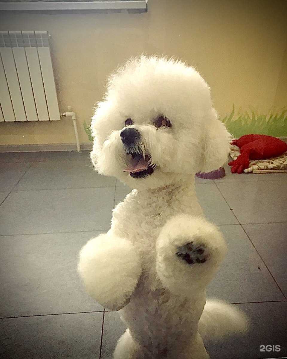 Отзывы на компанию Лайкин дом в Якутске c фото