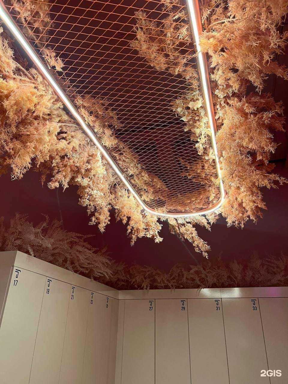 Отзывы на компанию Topstretching в Хабаровске c фото