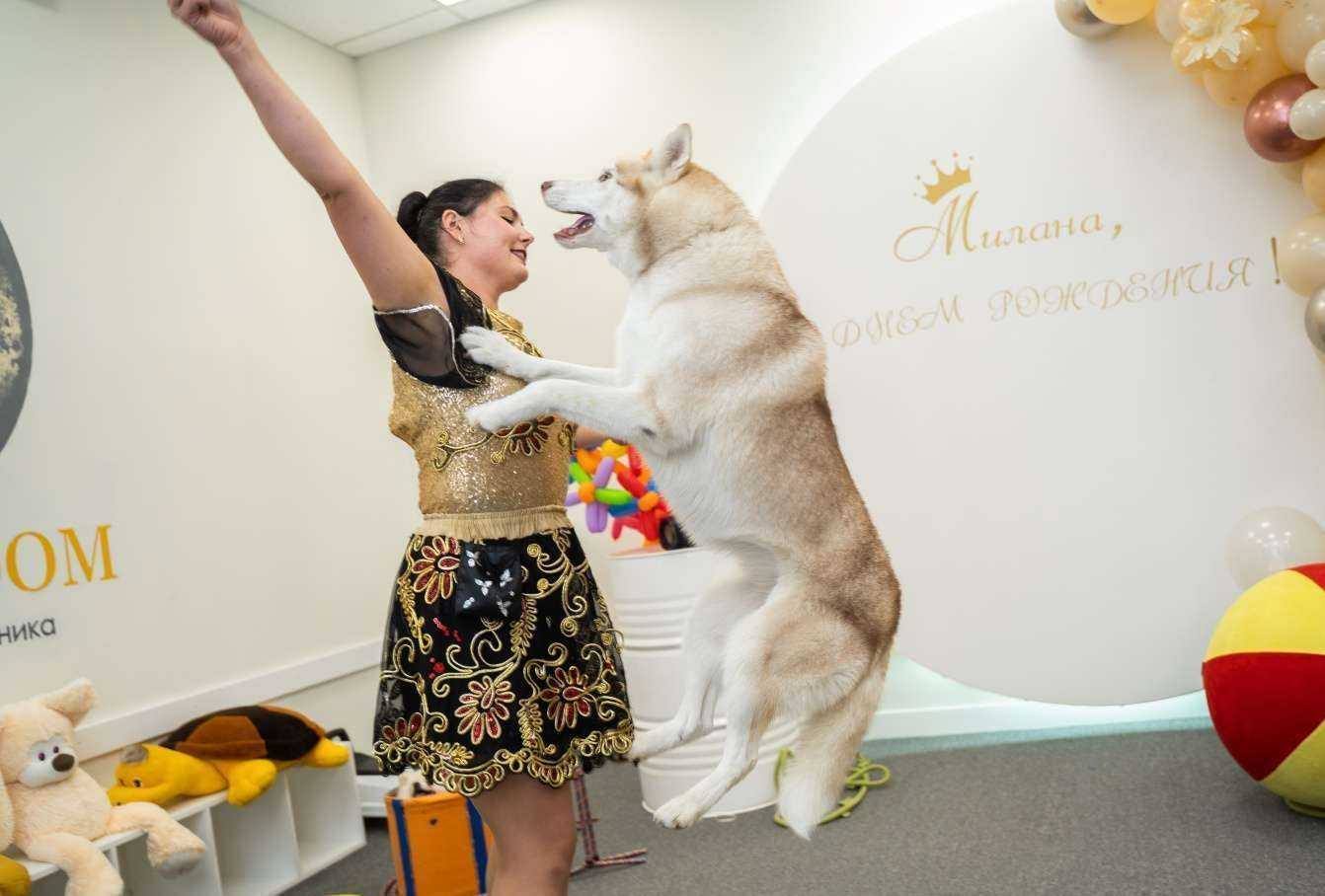 Отзывы на компанию Kiddy Boom в г. Новосибирск c фото