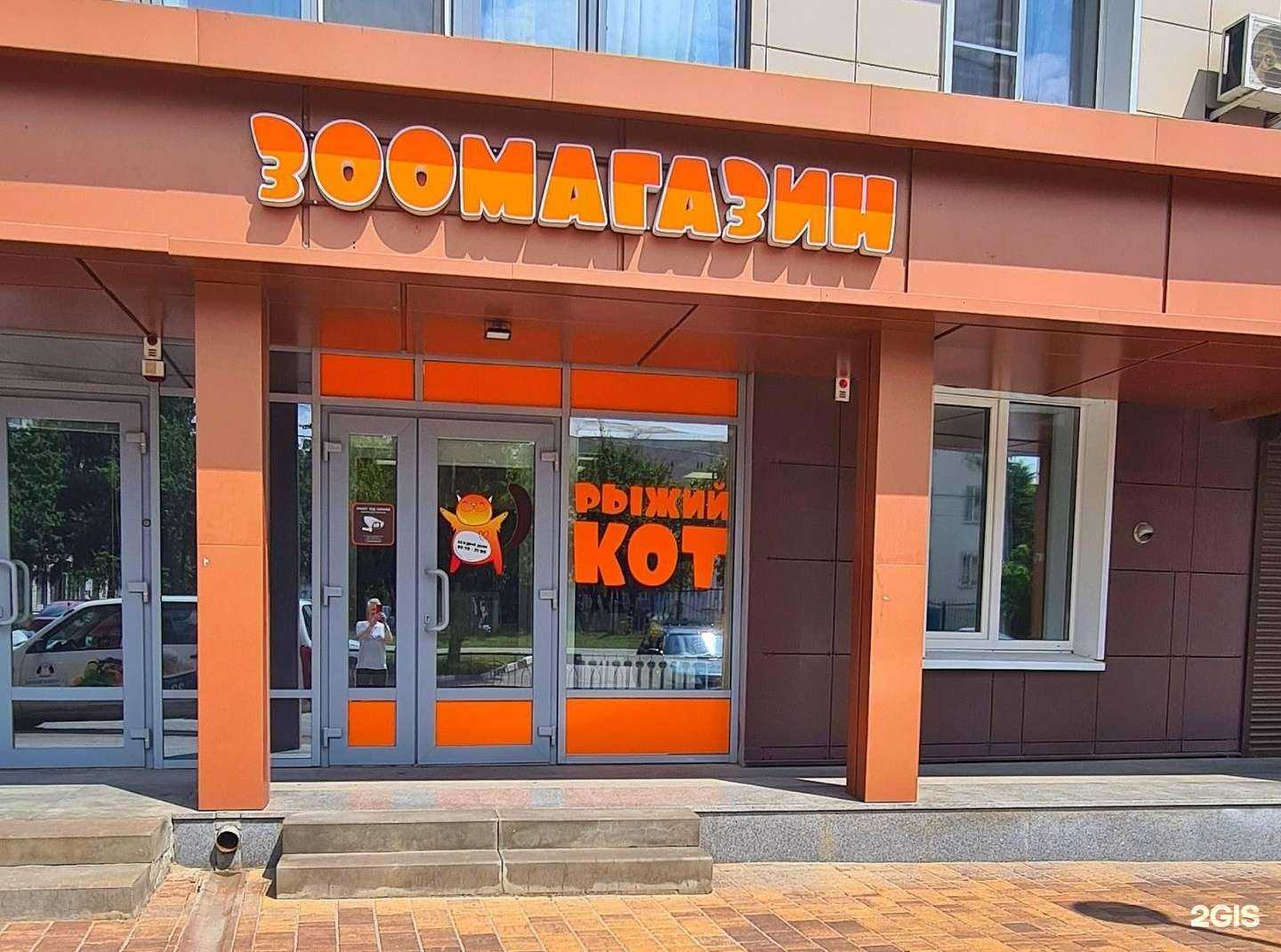 Отзывы на компанию Рыжий Кот 31 в г. Белгород c фото