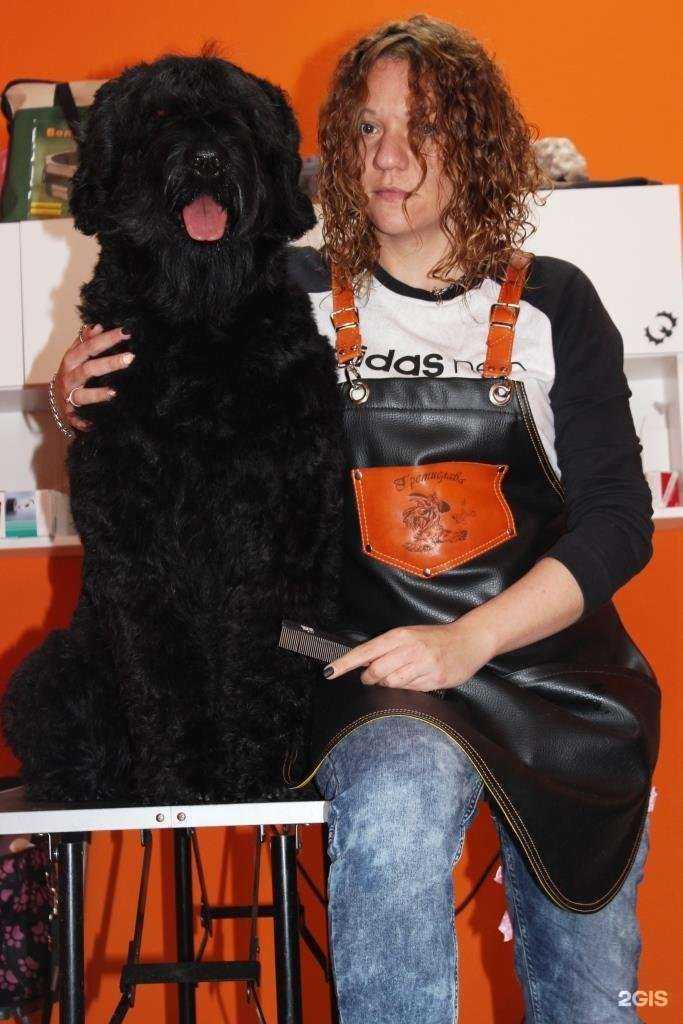 Отзывы на компанию Гремислава в г. Коммунарка c фото