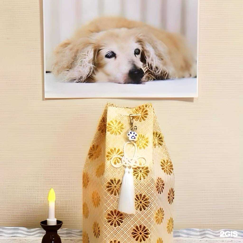 Отзывы на компанию ВетПомощь в Омске c фото