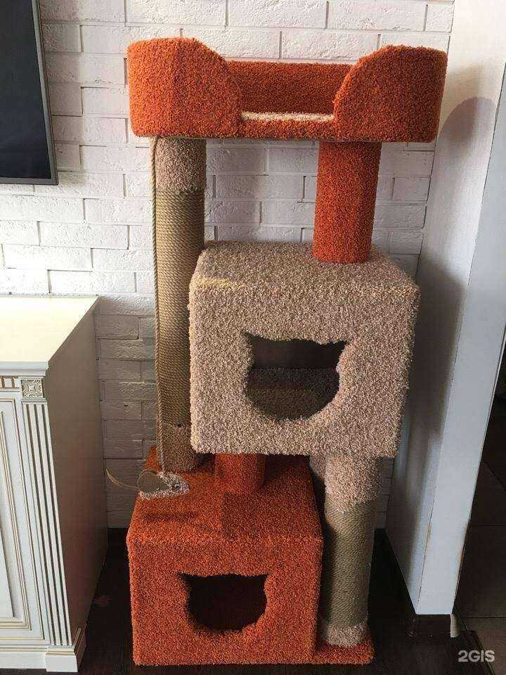 Отзывы на компанию Твой Друг Зоомагазин.РФ в г. Иркутск c фото