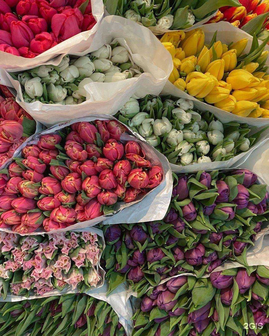 Отзывы на компанию Анемон в г. Клин c фото