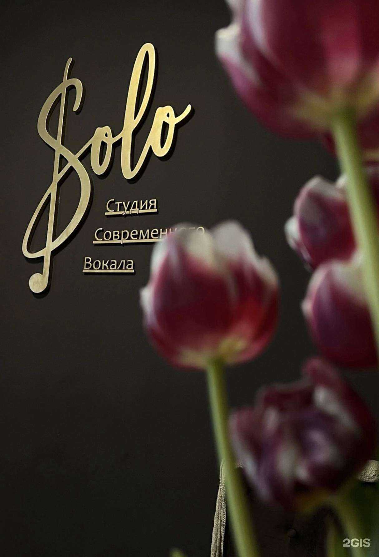 Отзывы на компанию Solo в г. Тюмень c фото