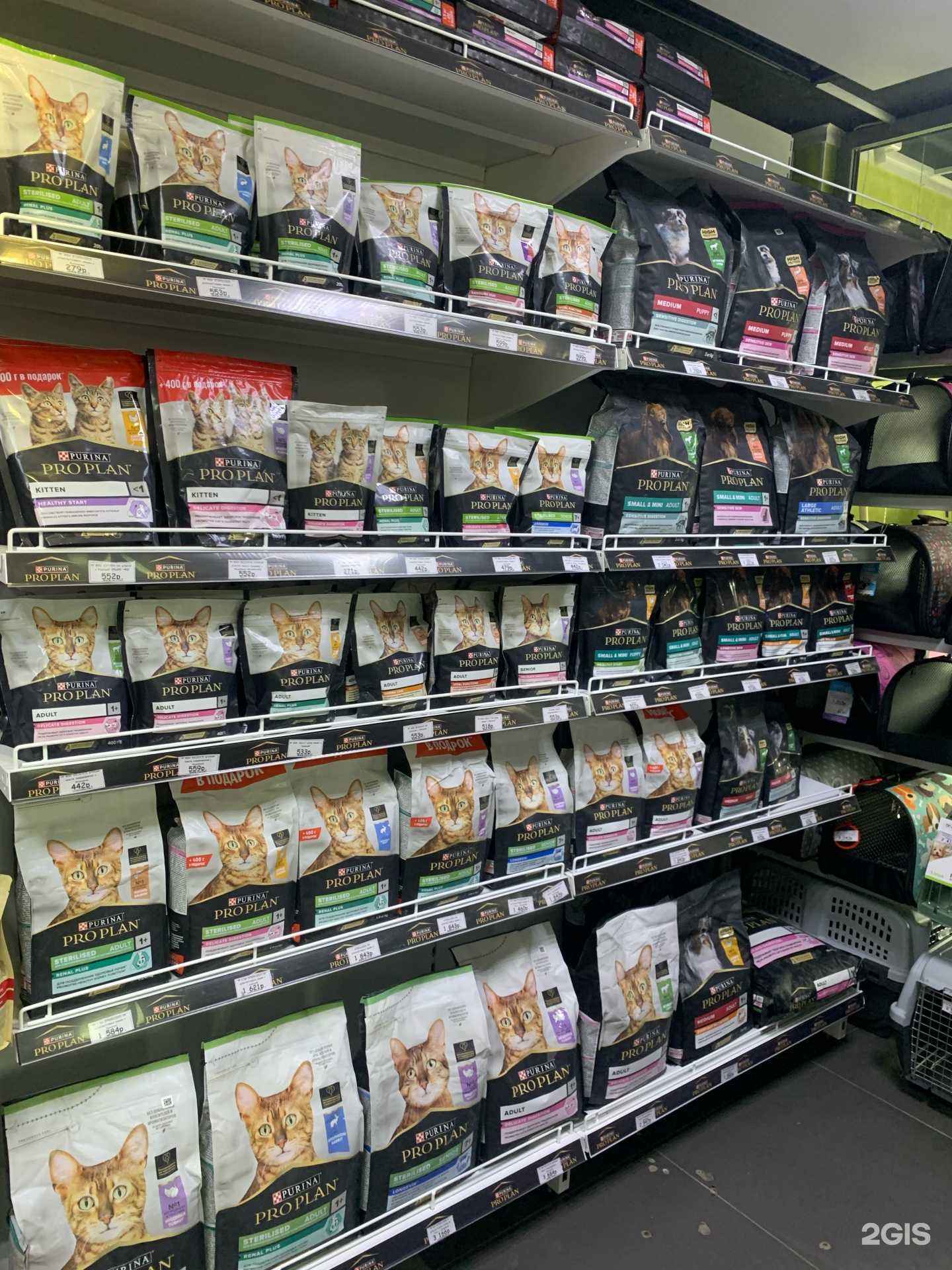 Отзывы на компанию Четыре лапы в г. Курган c фото