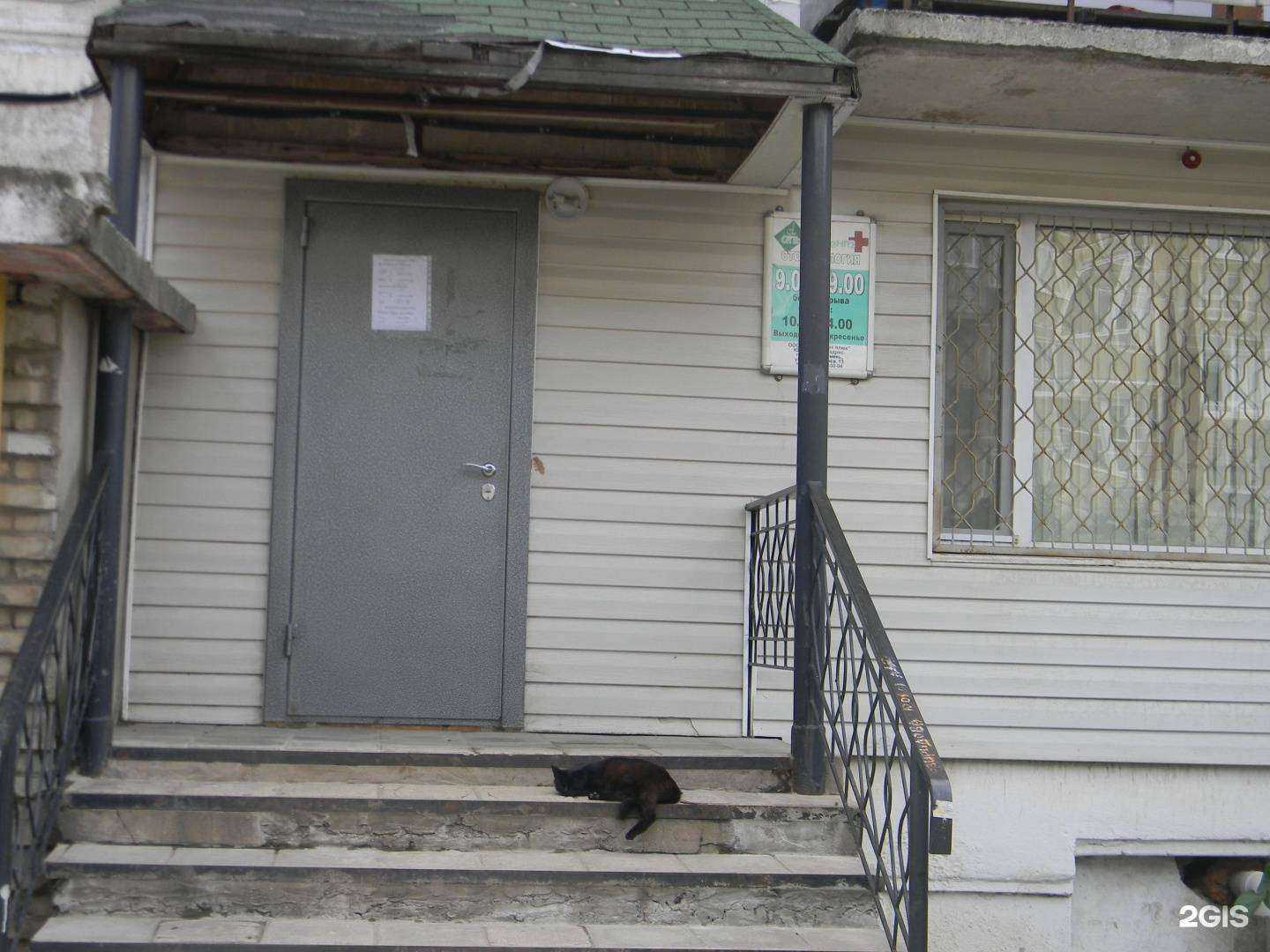 Отзывы на компанию Альфа Дент Плюс в г. Фокино c фото