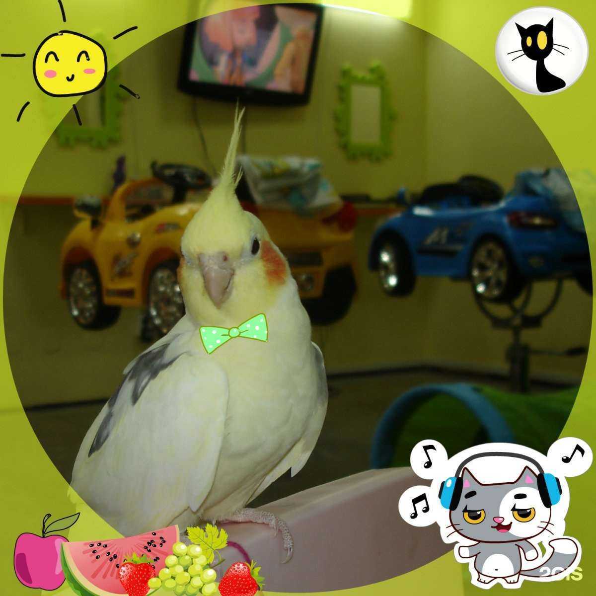 Отзывы на компанию Варвара-Краса в г. Чебоксары c фото