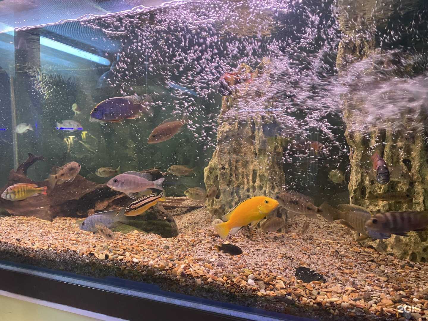 Отзывы на компанию Акватерра в г. Красноярск c фото