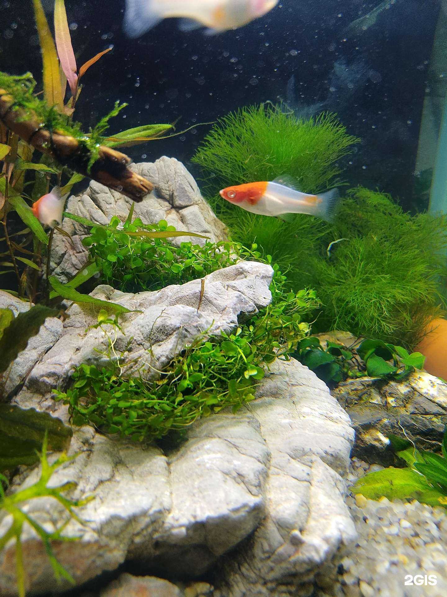 Отзывы на компанию Маркиз в Красноярске c фото