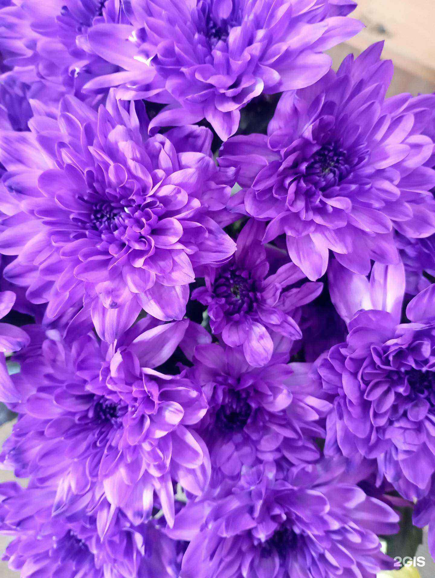 Отзывы на компанию Цветочный салон в г. Красноярск c фото