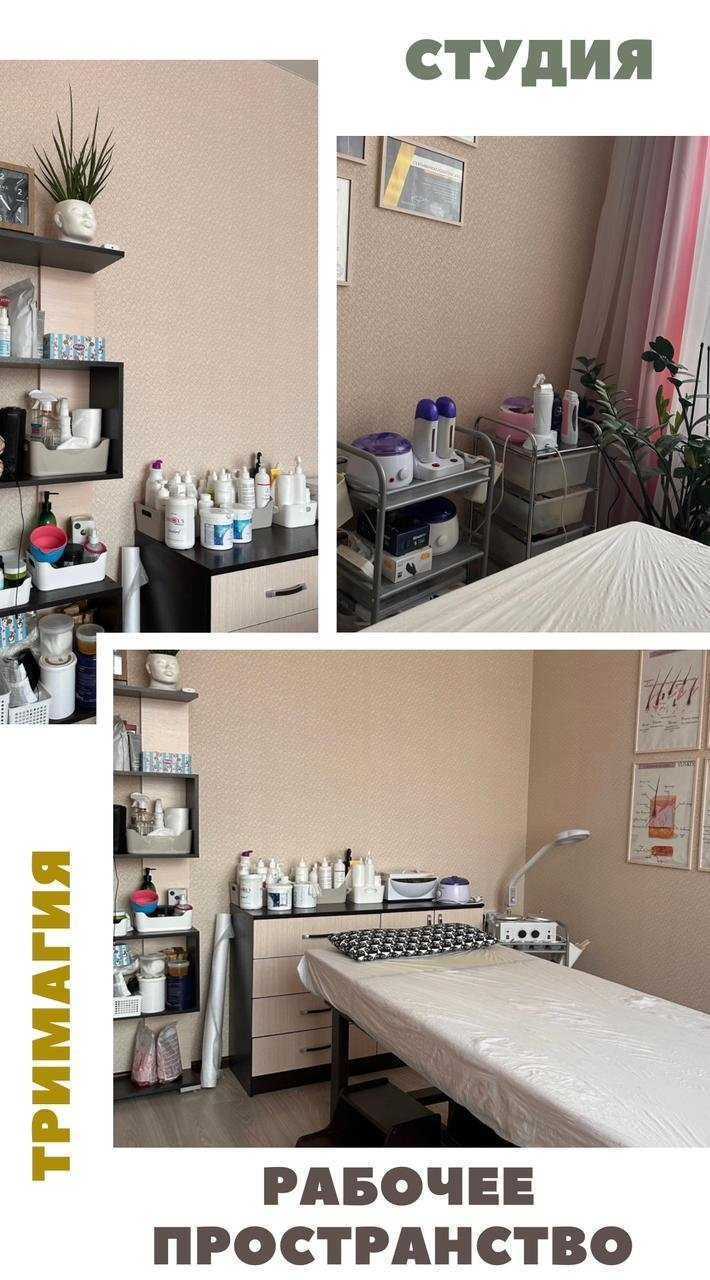 Отзывы на компанию Treemagic в г. Кемерово c фото