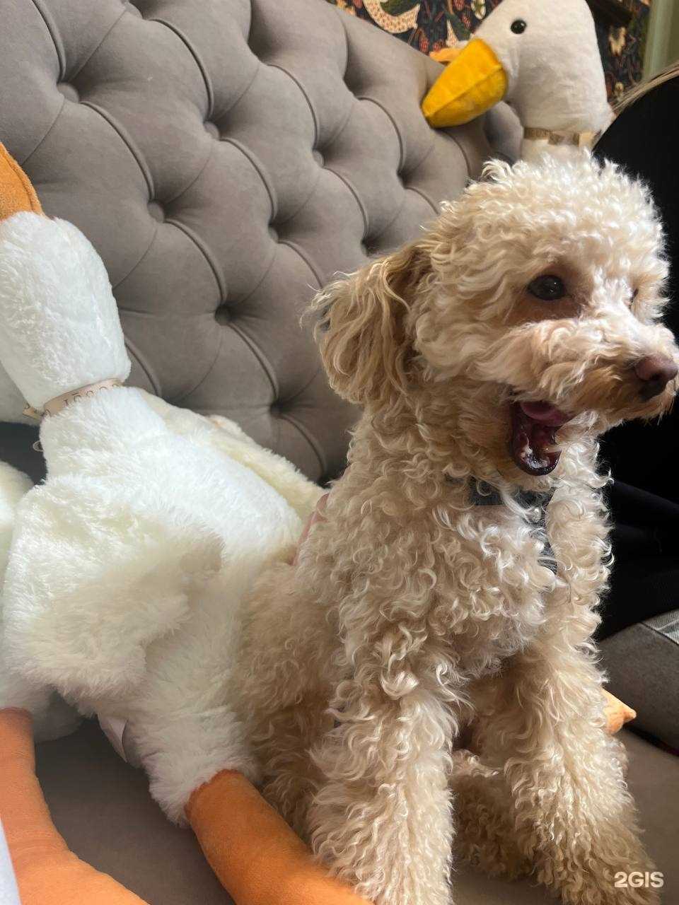 Отзывы на компанию Gussi Coffee в Екатеринбурге c фото