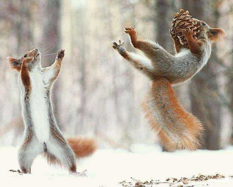 Отзывы на компанию Wasteland quest&games в г. Новосибирск c фото