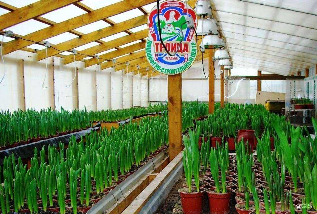 Отзывы на компанию Троица в Великом Новгороде c фото