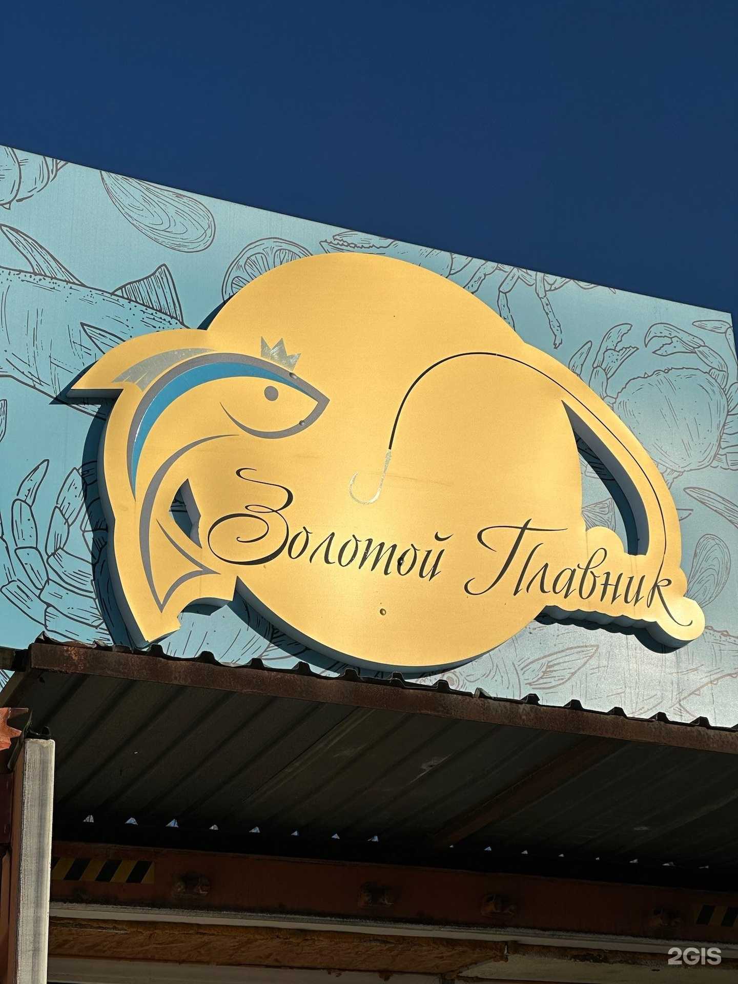 Отзывы на компанию Золотой плавник  в г. Владивосток c фото