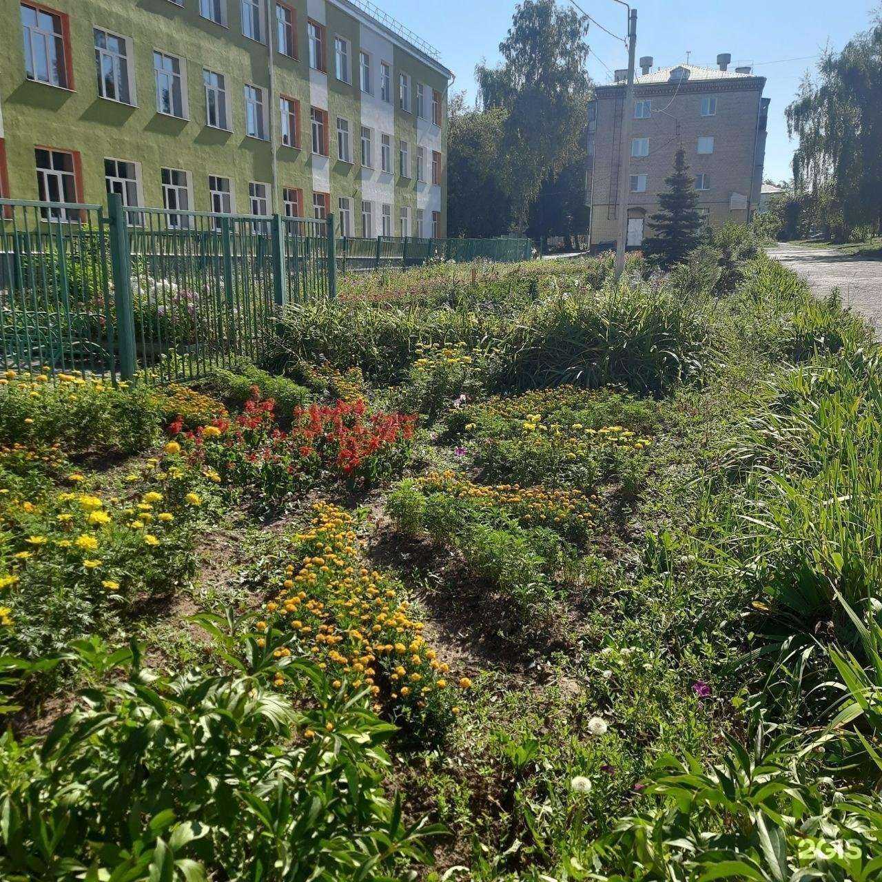 Отзывы на компанию Средняя школа №23 в Чебоксарах c фото