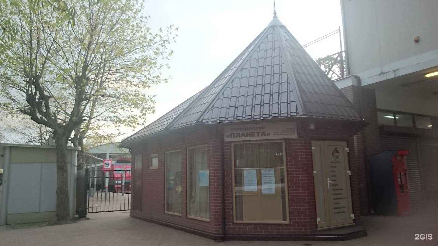 Отзывы на компанию Планета в Светлогорске c фото - фотография 2 из 2