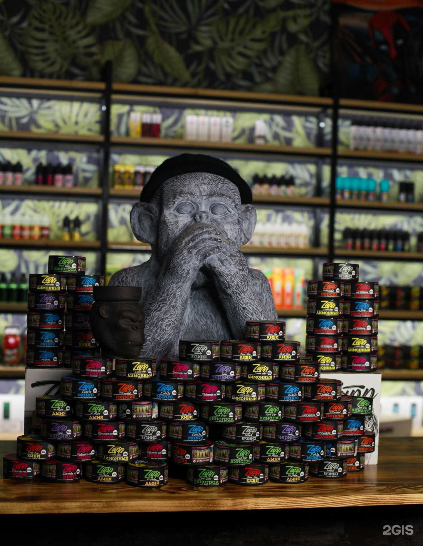 Отзывы на компанию Chill Monkey в Воронеже c фото