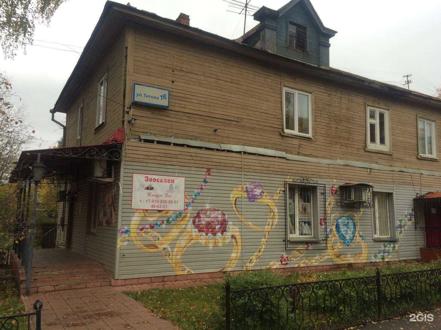 Отзывы на компанию Имидж дог в Костроме c фото - фотография 2 из 2