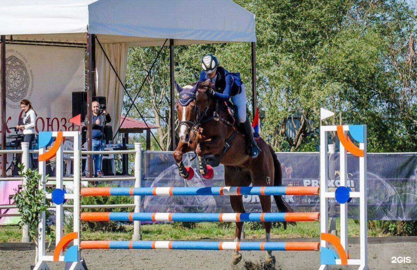 Отзывы на компанию Светлана в г. Сочи c фото