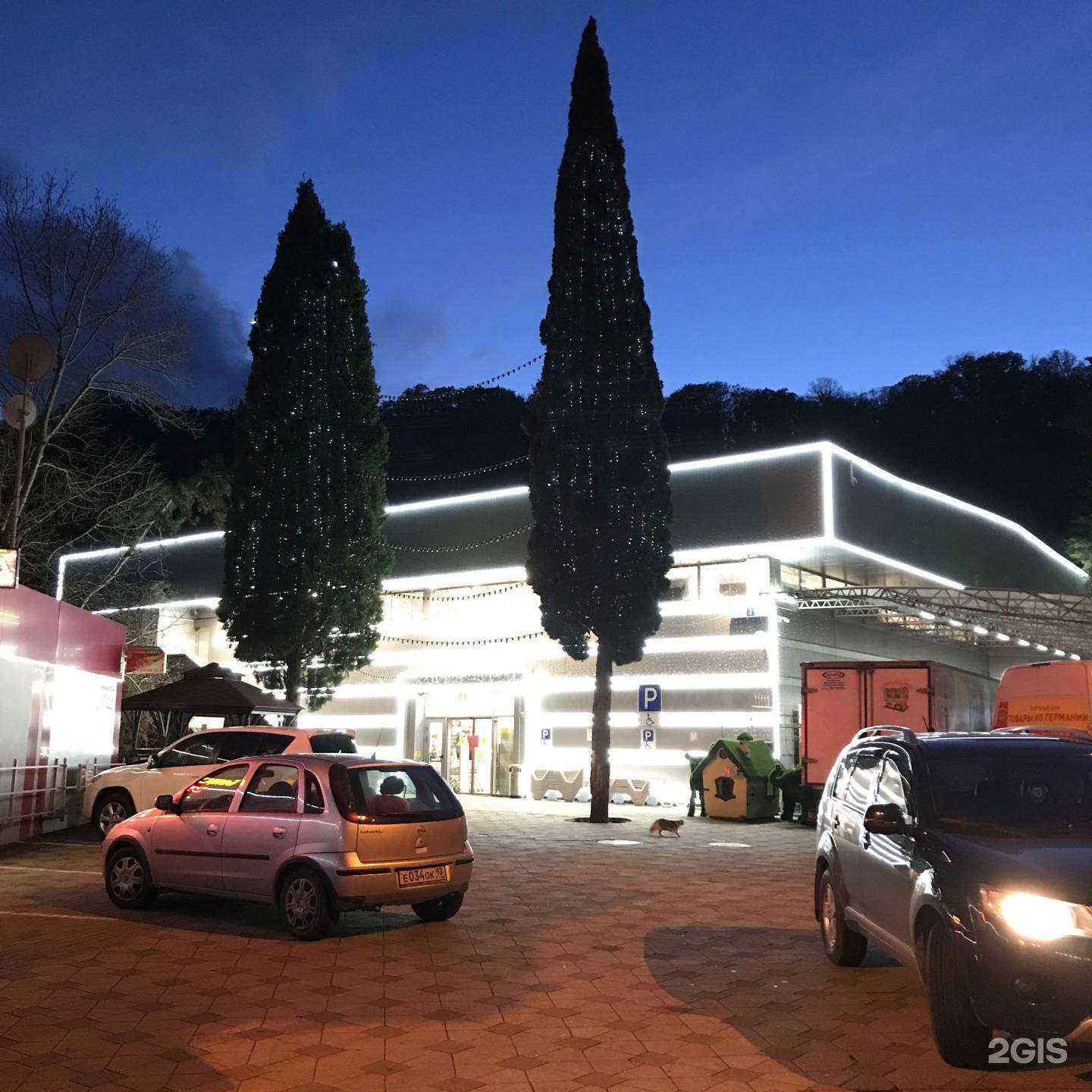 Отзывы на компанию Miele в г. Сочи c фото