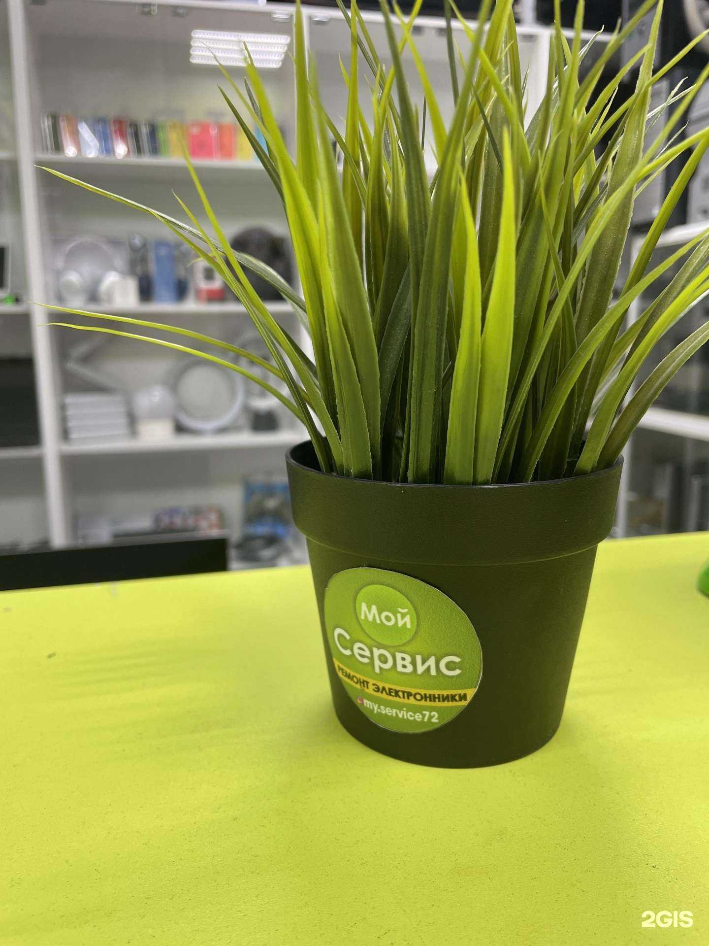 Отзывы на компанию Мой Сервис в г. Тюмень c фото